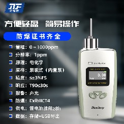便攜泵吸式氫氣檢測儀